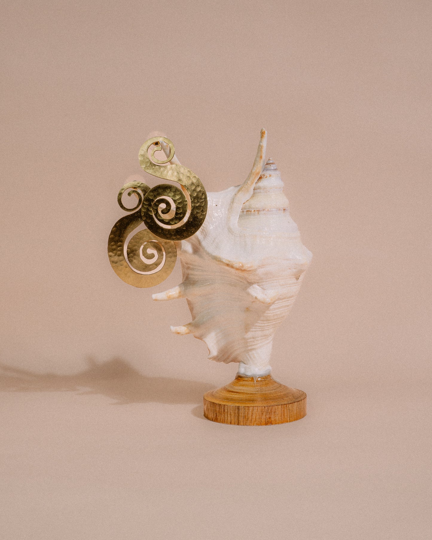 AGNI Sunkissed Earrings